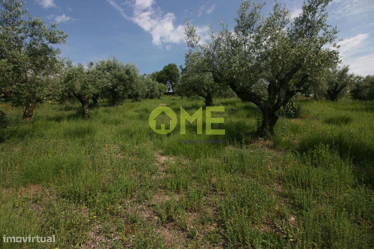 Terreno com 2880m2 - Grande imagem: 4/6