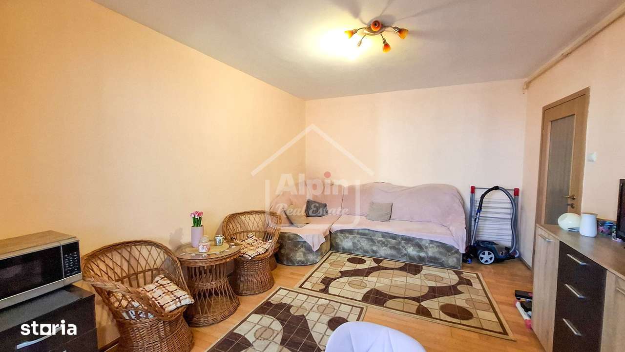 Suprafata Generoasa I Zona Garii-8