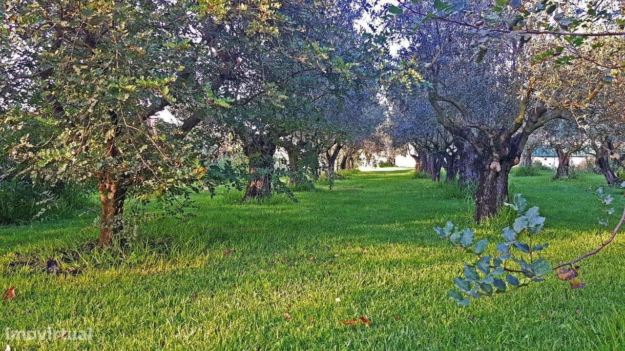 Moradia T5 perto de Coimbra-32