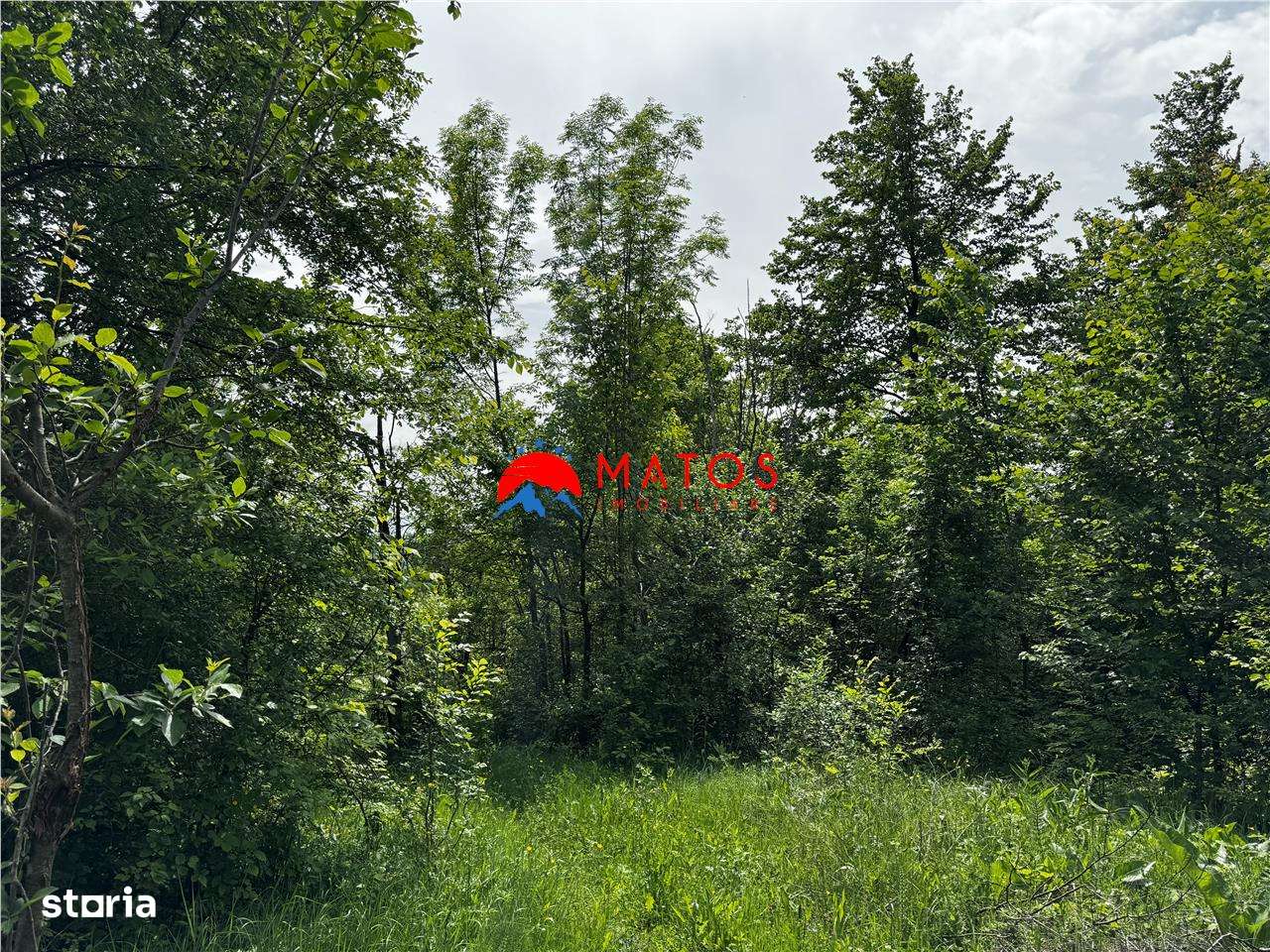 Teren intravilan 1.300 mp în Cornu de Jos, Prahova – zona linistita, u-5