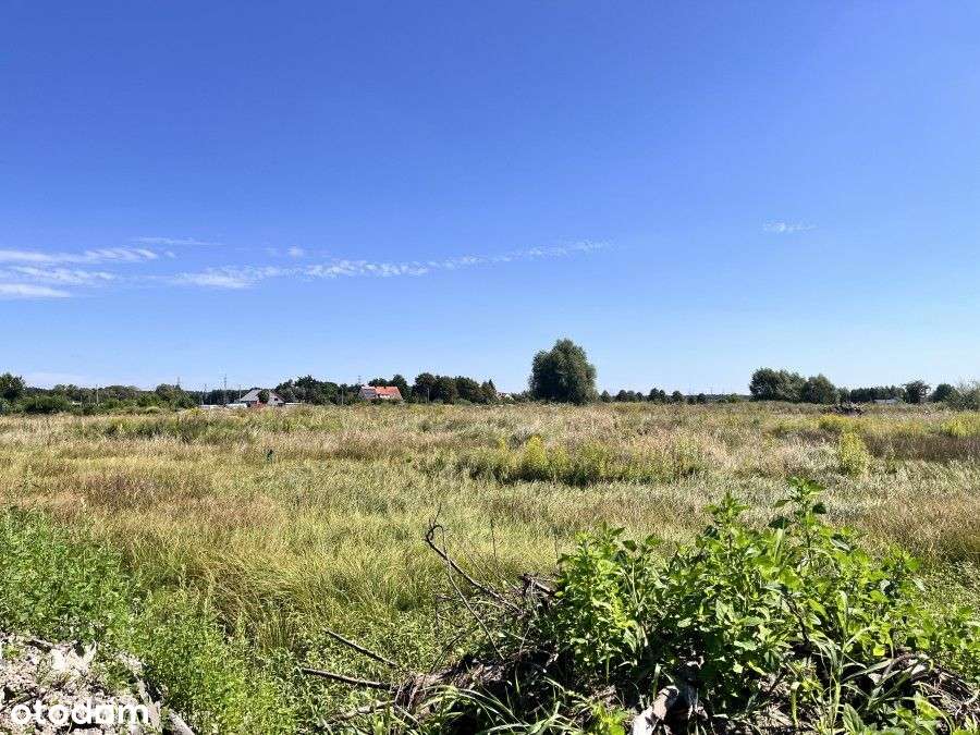 Działka Z Wydanymi Warunkami Zabudowy. - Pełny obrazek: 5/5