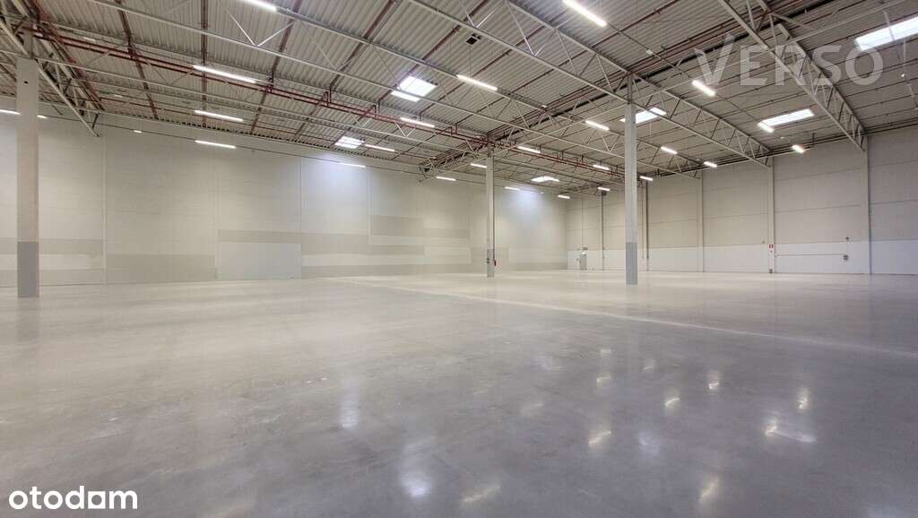 Pod produkcję 8000 mkw. + biuro 600 mkw. - Pełny obrazek: 5/11