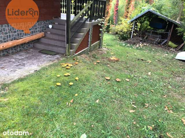 Mazurska Oaza Spokoju -Dom +działka(Gratis!) - Pełny obrazek: 4/9