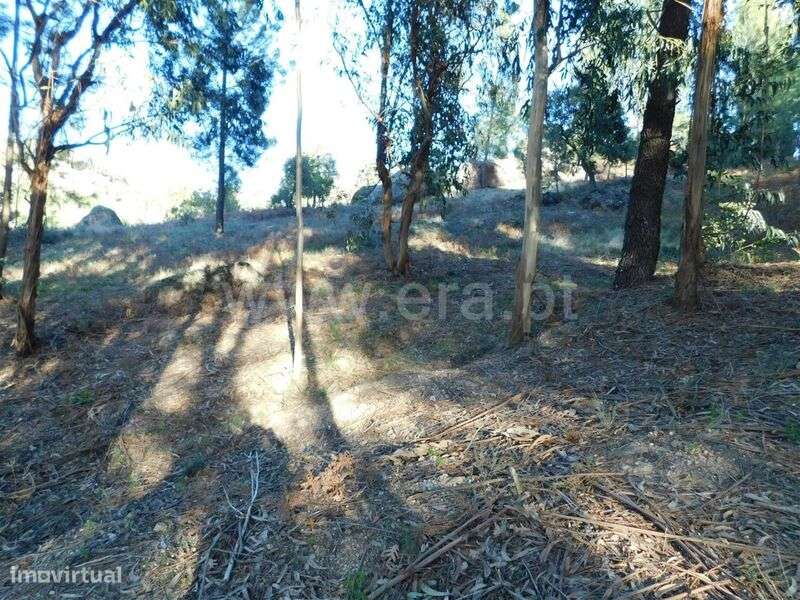 Terreno / Fundão, Pêro Viseu - Grande imagem: 2/11