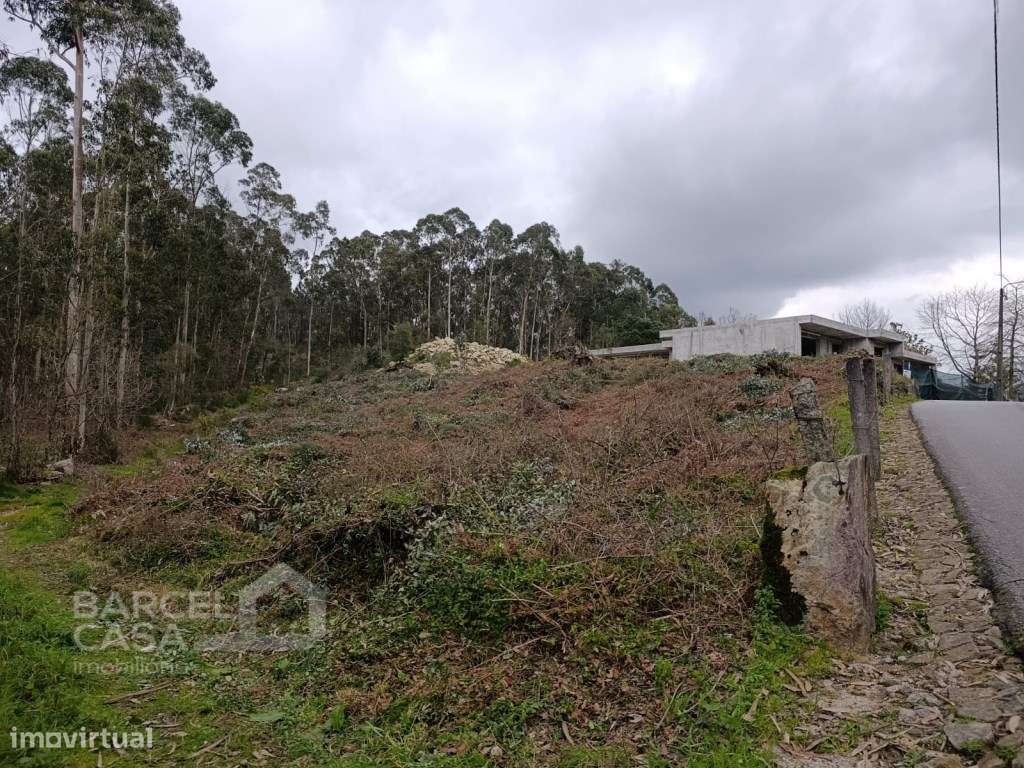 Terreno de construção em Alvito S. Pedro - Barcelos-1