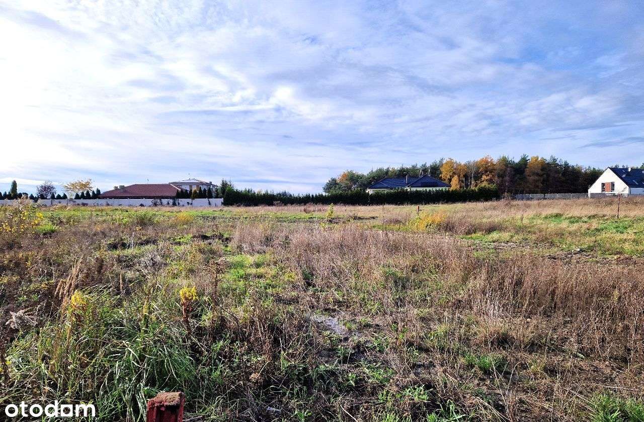 Ustawna działka z warunkami zabudowy Radojewo-1