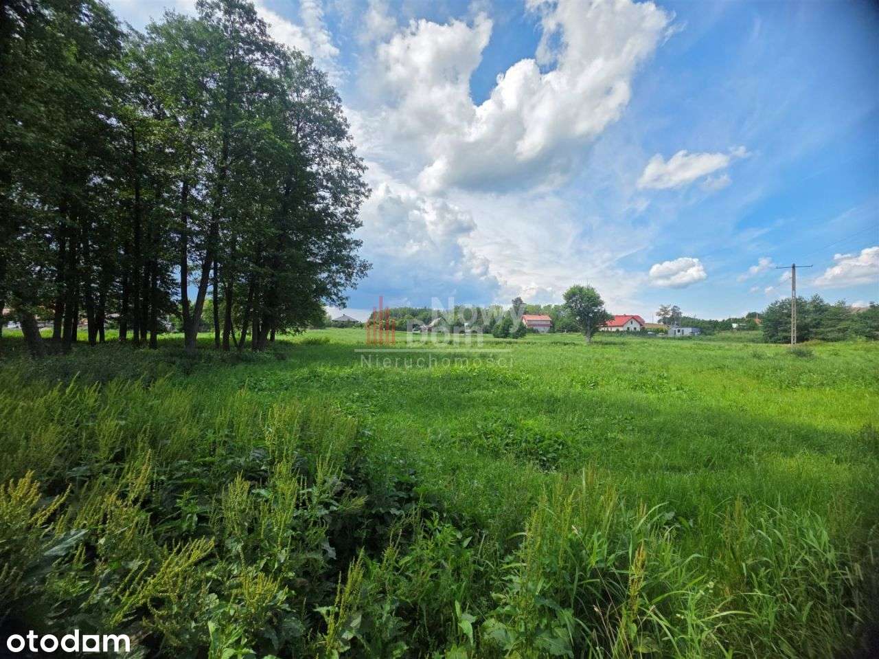 Działki Kożuchy Wielkie Z Lasem!-6