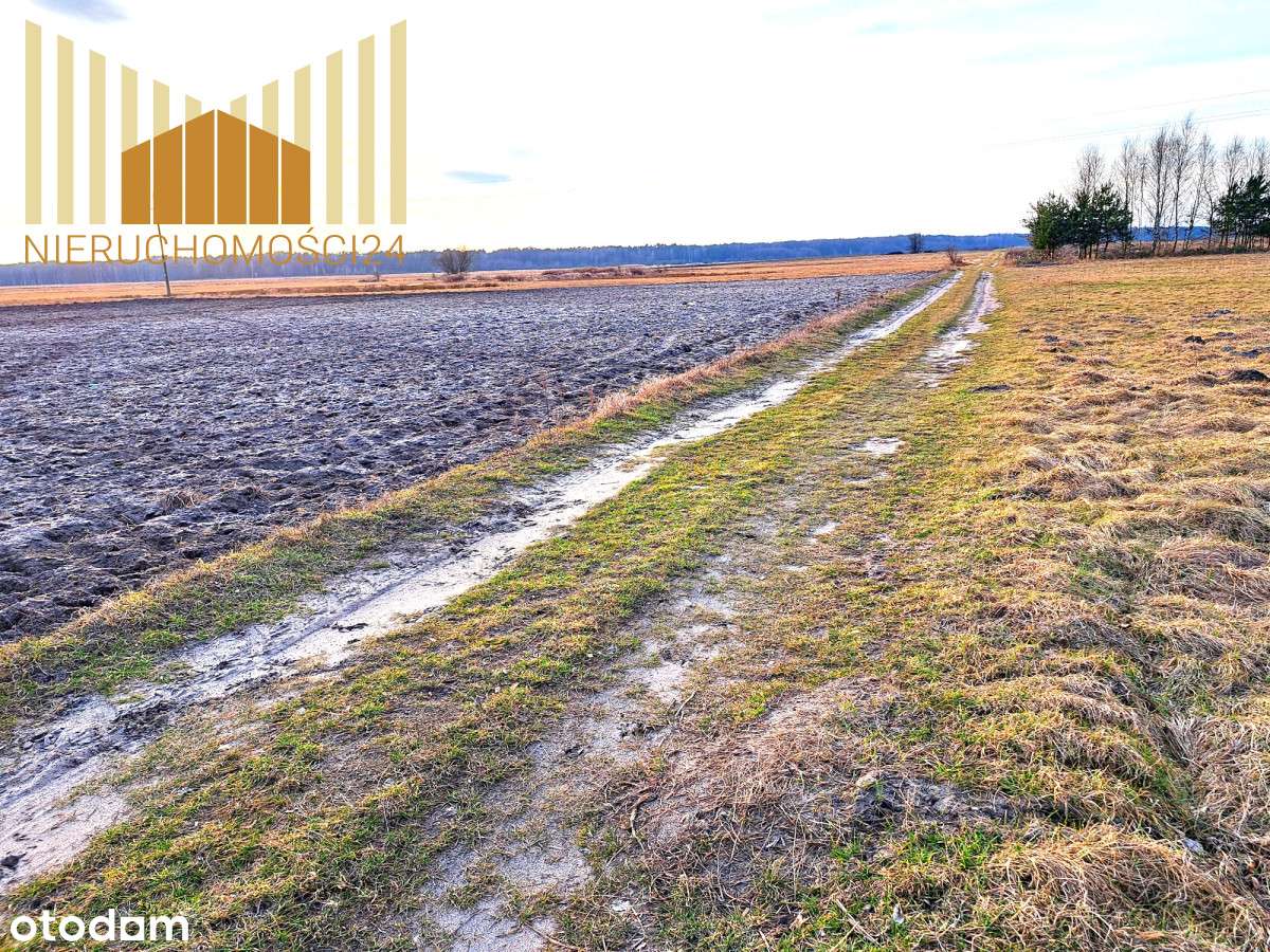 Działka w otoczeniu przyrody !!!! - Pełny obrazek: 4/6