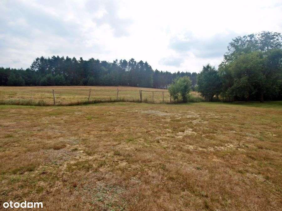 Dom bliżniak w pięknej okolicy - Pełny obrazek: 4/6