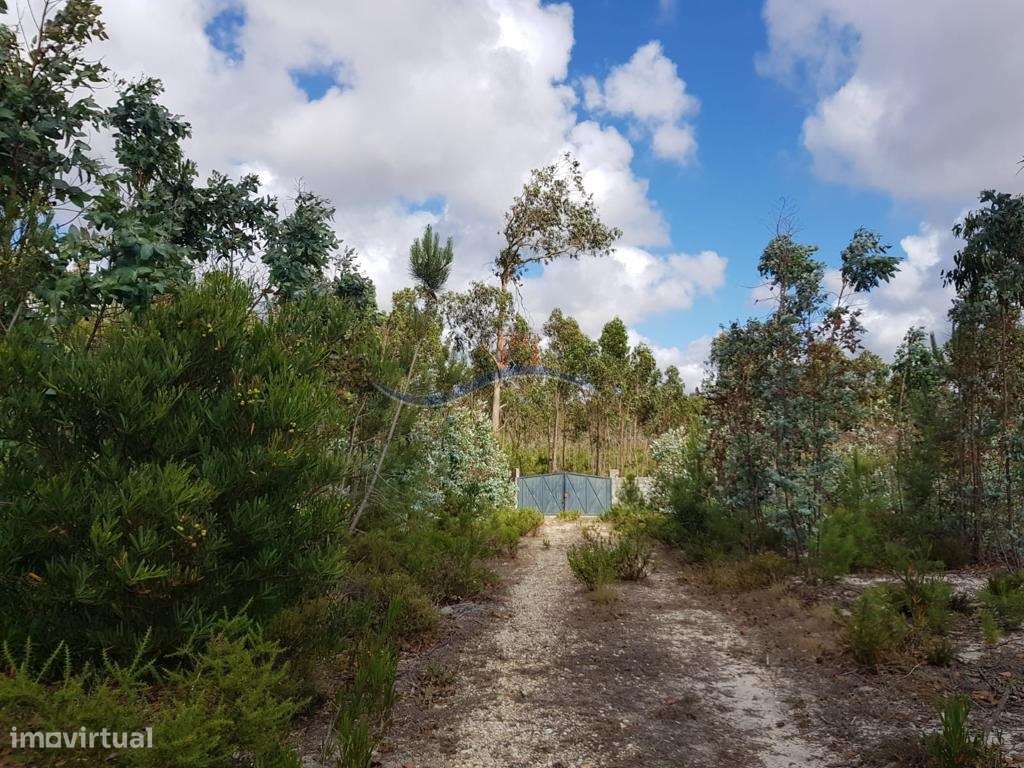 Terreno - Zona Monte Real - Grande imagem: 3/41