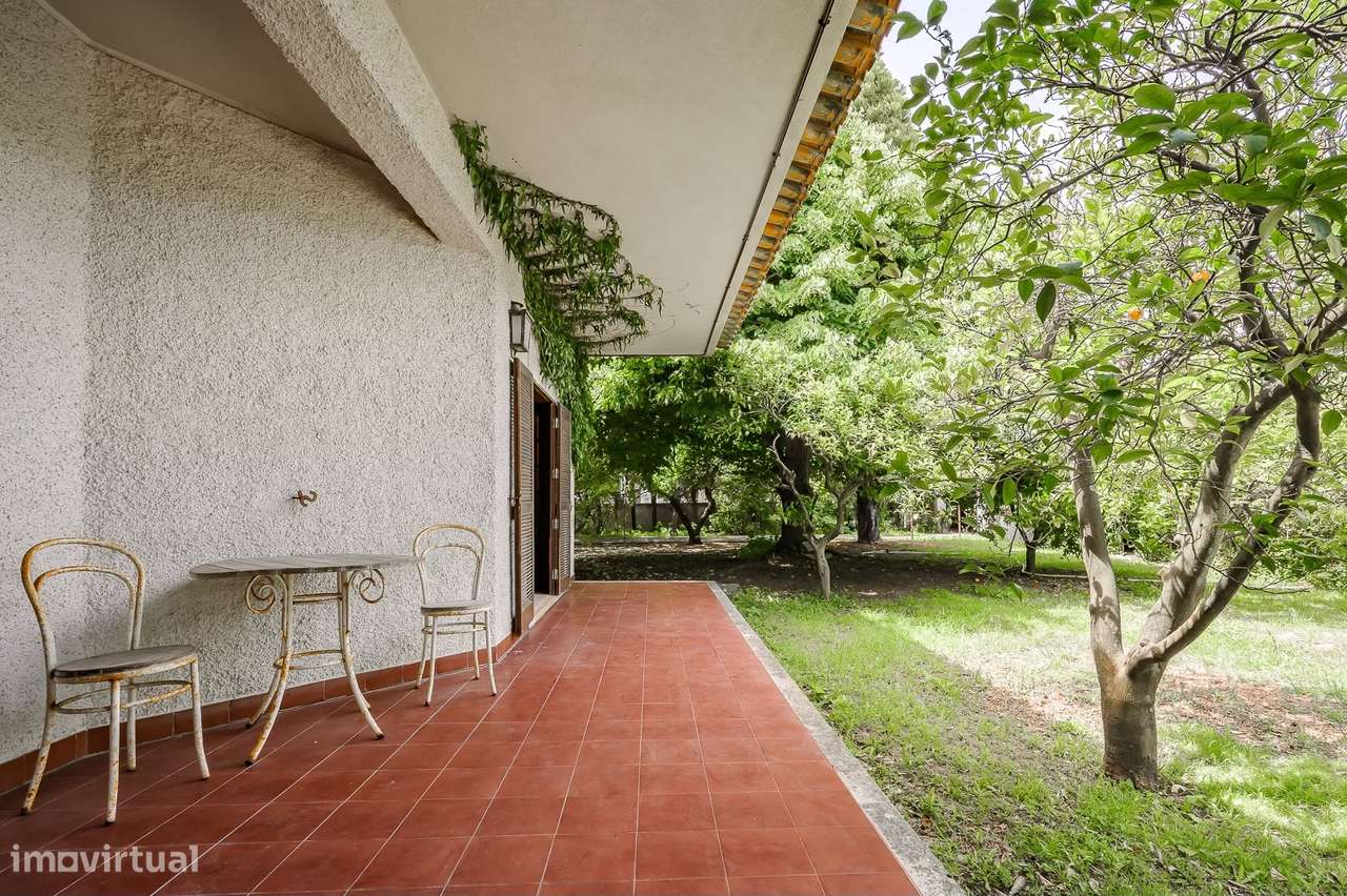 Moradia T4 com Jardim e Vista de Campo na Golegã-9