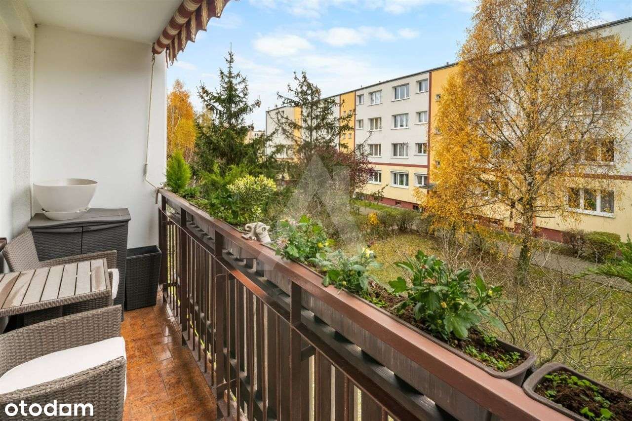 M5 Osiedle Leśnym zapraszam - Pełny obrazek: 5/15