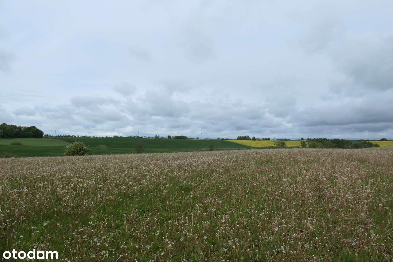 Działka nad jeziorem w okolicach Prabut - Pełny obrazek: 4/15