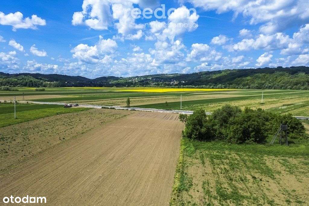 Działka 79 ar z Wz w Bachowie, gm. Krzywcza - Pełny obrazek: 3/13