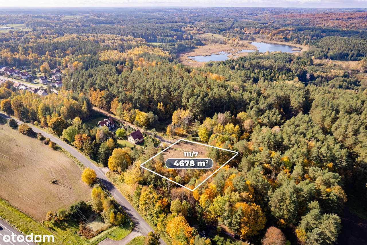 Działka budowlana 4671 m2 Spręcowo Gmina Dywity-3