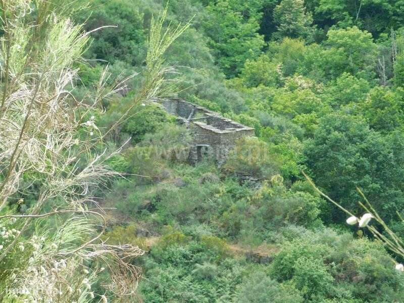 Terreno / Seia, Sazes da Beira - Grande imagem: 4/19