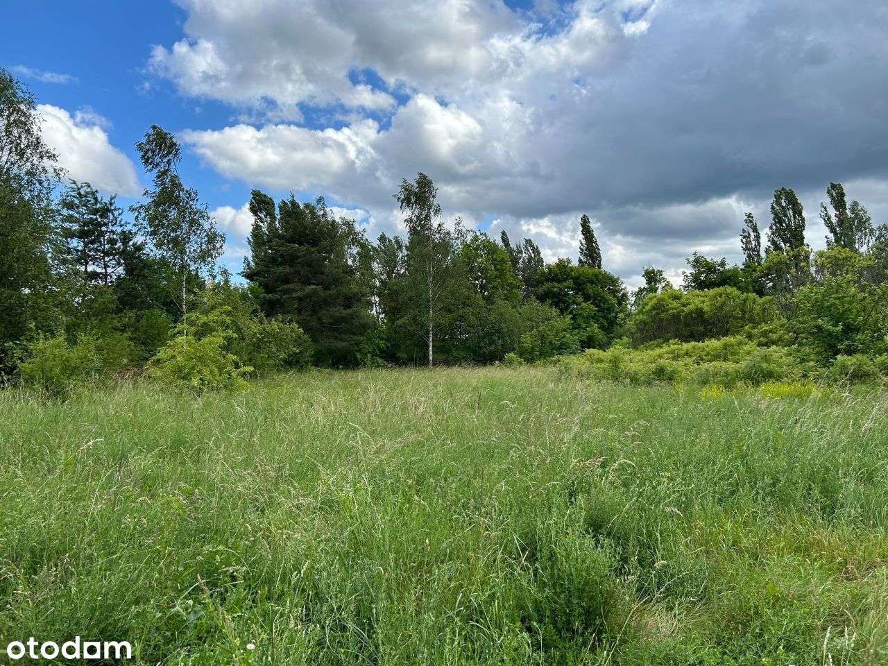 Atrakcyjna cenowo nieruchomość pod inwestycje-7