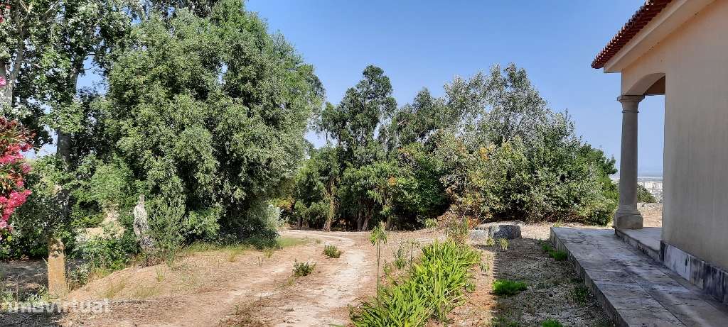 Quinta em Alenquer-13