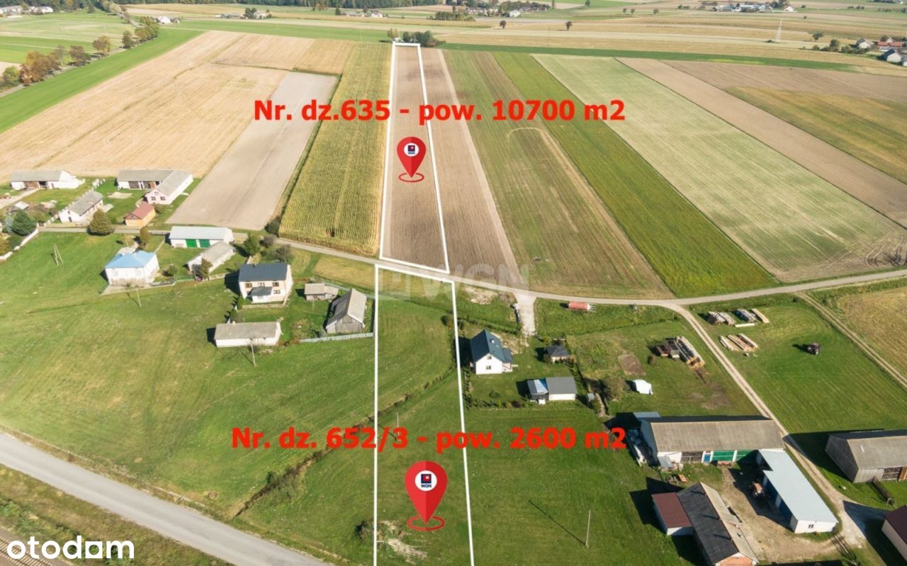 Działka, 22 600 m², Życzyn