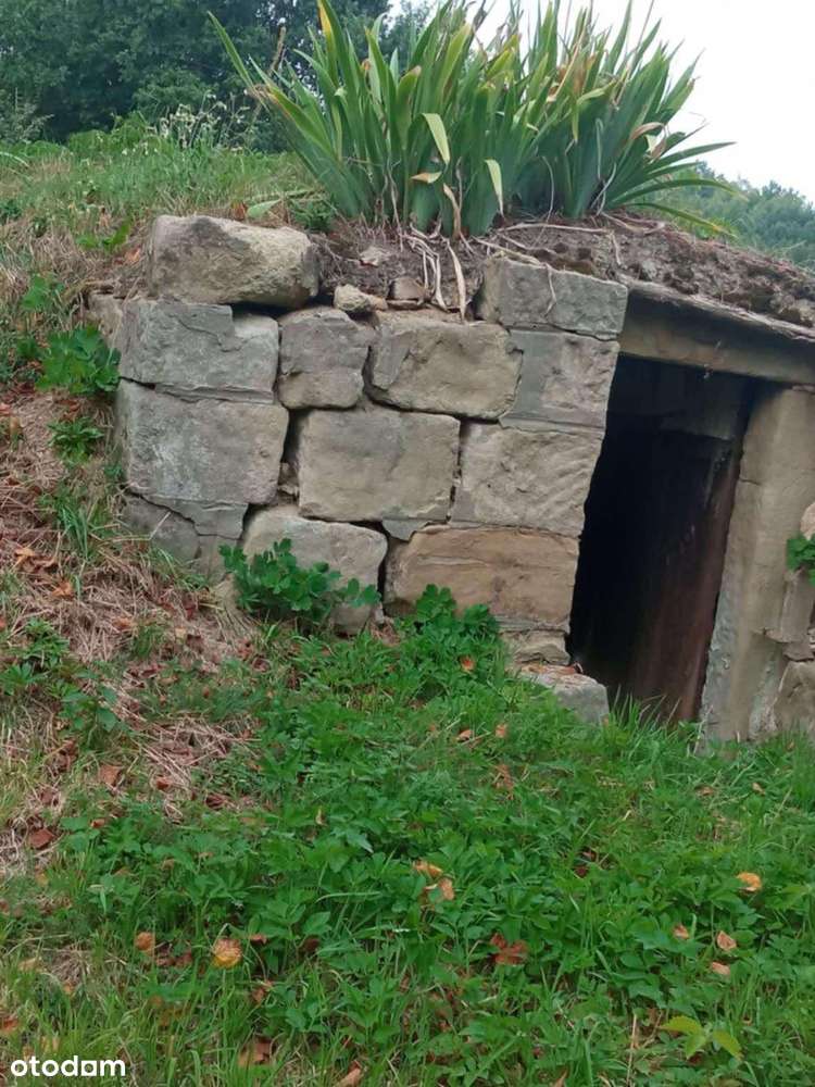 Duża Działka Budowlana 40km od Krakowa!-7