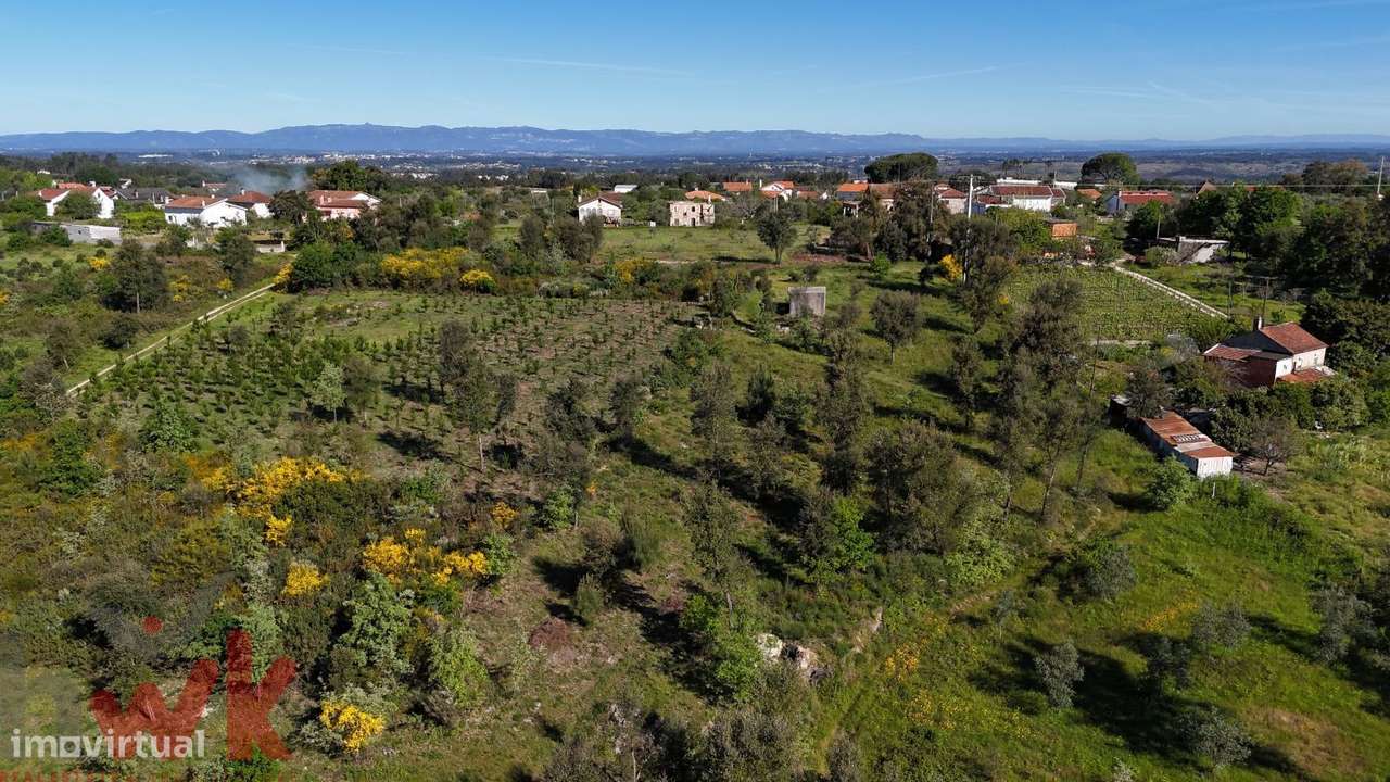 Terreno de cultivo com 1.5 hectares e vistas para a Serra do Açor - Grande imagem: 5/18