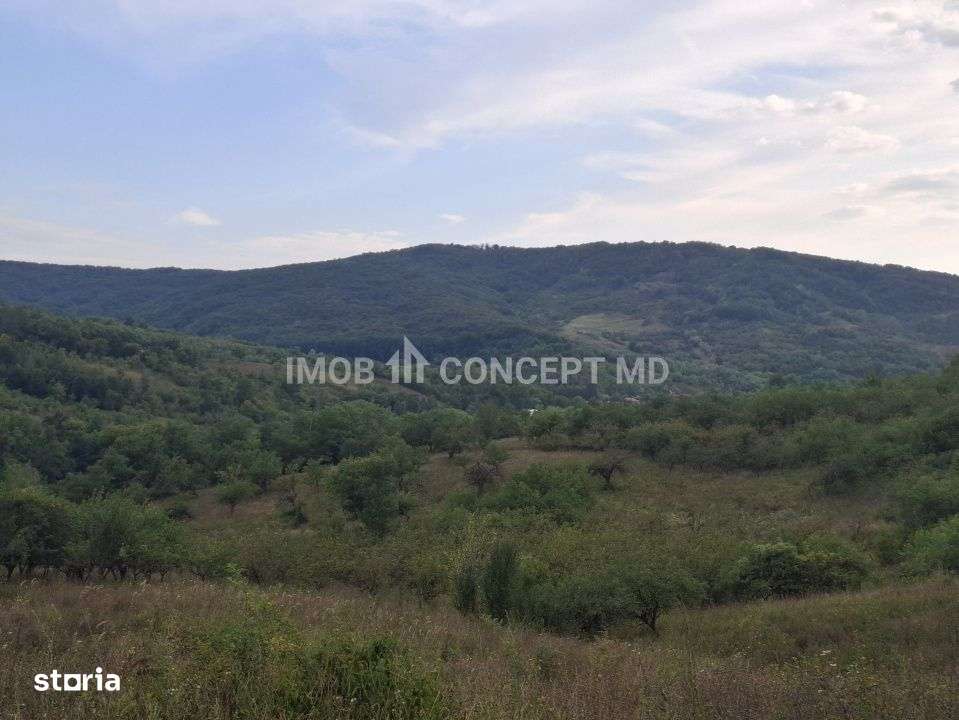 Teren spectaculos cu padure, livada si priveliste panoramica in Soimar-18