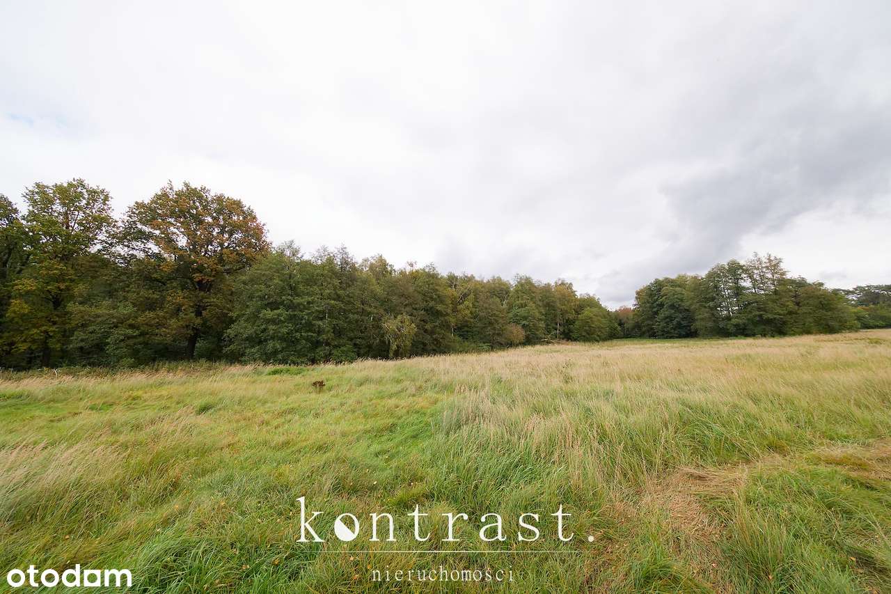 Dom pod lasem, piękna i spokojna okolica-16