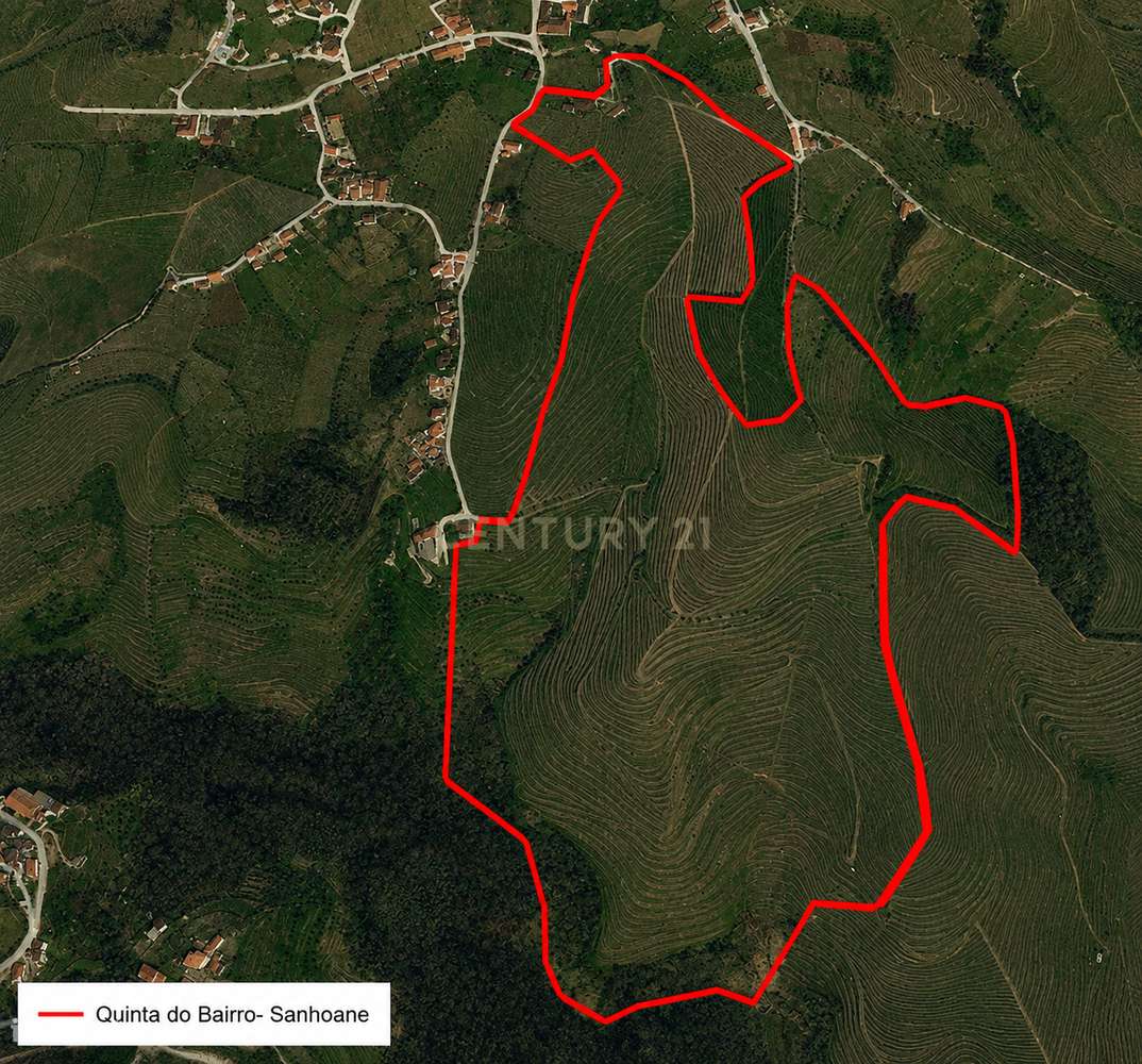 Duas quintas com 30ha para venda em Santa Marta de Penaguião, propried-35