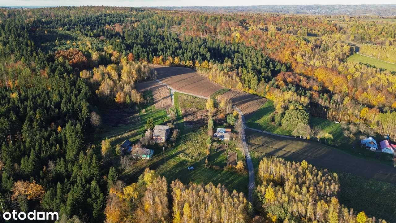 Działka, 190 m², Błażowa - Pełny obrazek: 4/7