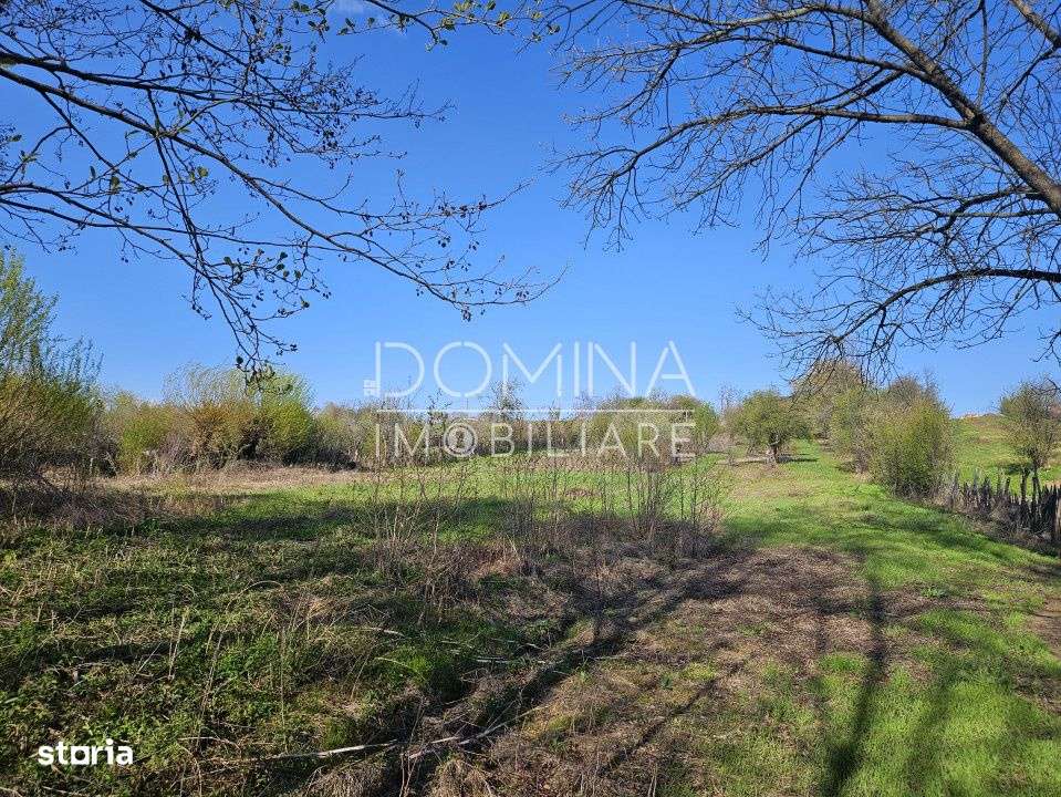 Teren 4606 mp - Sat Balta - Runcu - la aproximativ 20 km de Targu Jiu - Imagine principală: 4/9