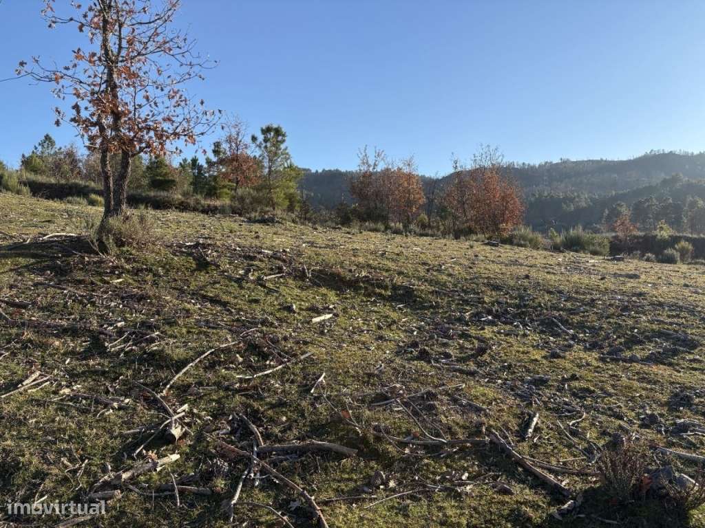 Quinta com casa em pedra para recuperar-12