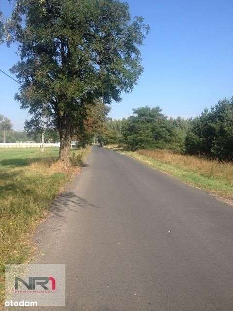 Działka przy drodze asfaltowej.-6