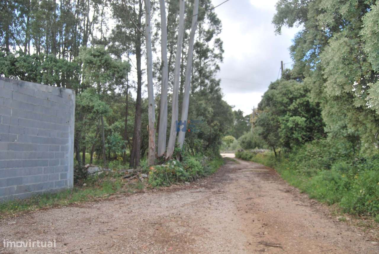 Terreno para construção em Fatima no lugar de Châ-9