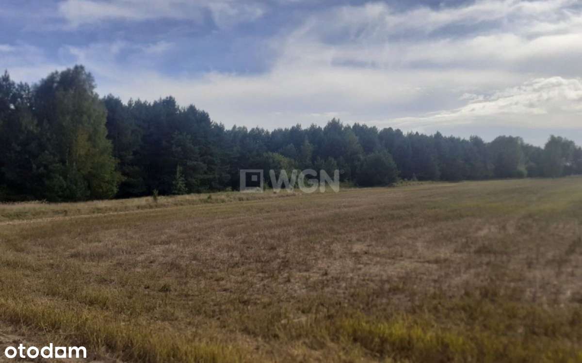 Działka, 29 500 m², Jaworznik - Pełny obrazek: 4/14