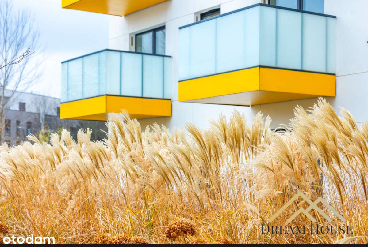 Apartament na krótki/długi termin, Wilanów-4