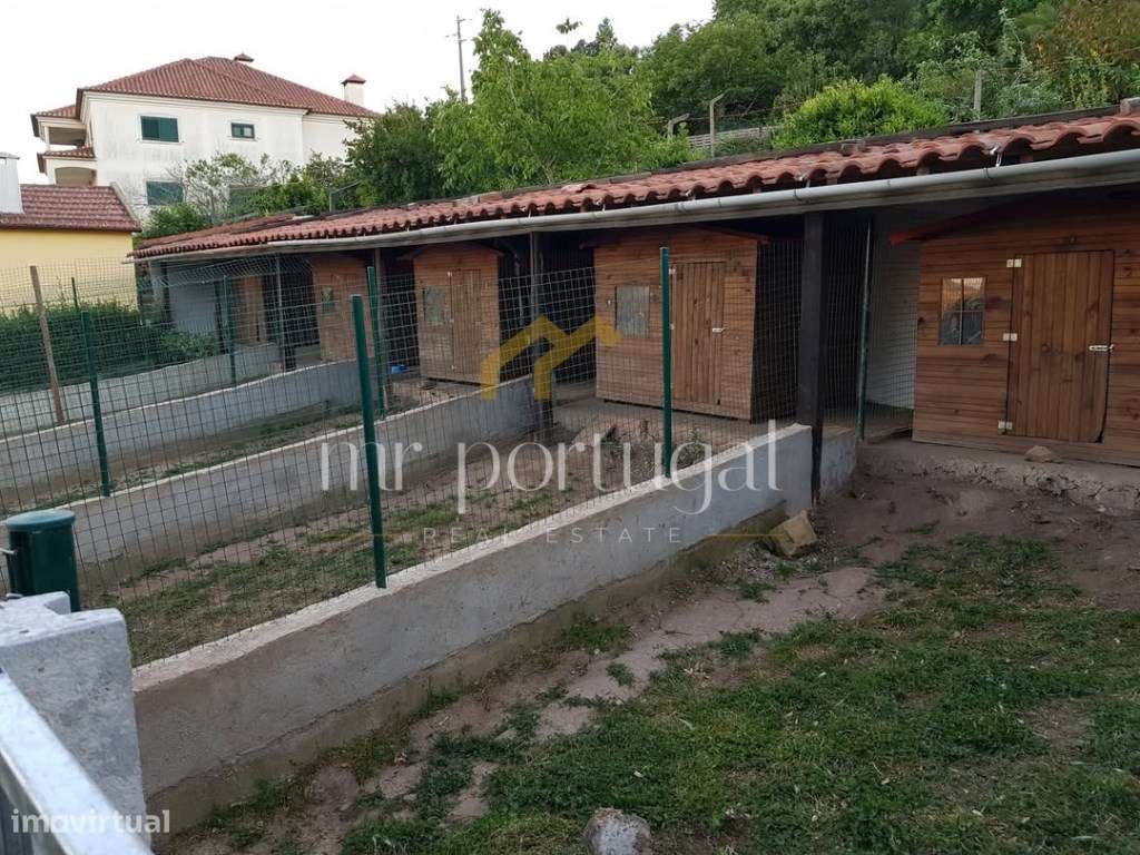 Quintinha em Mafra com 5.375m² | Moradia T2 + Potencial de Construç...-7