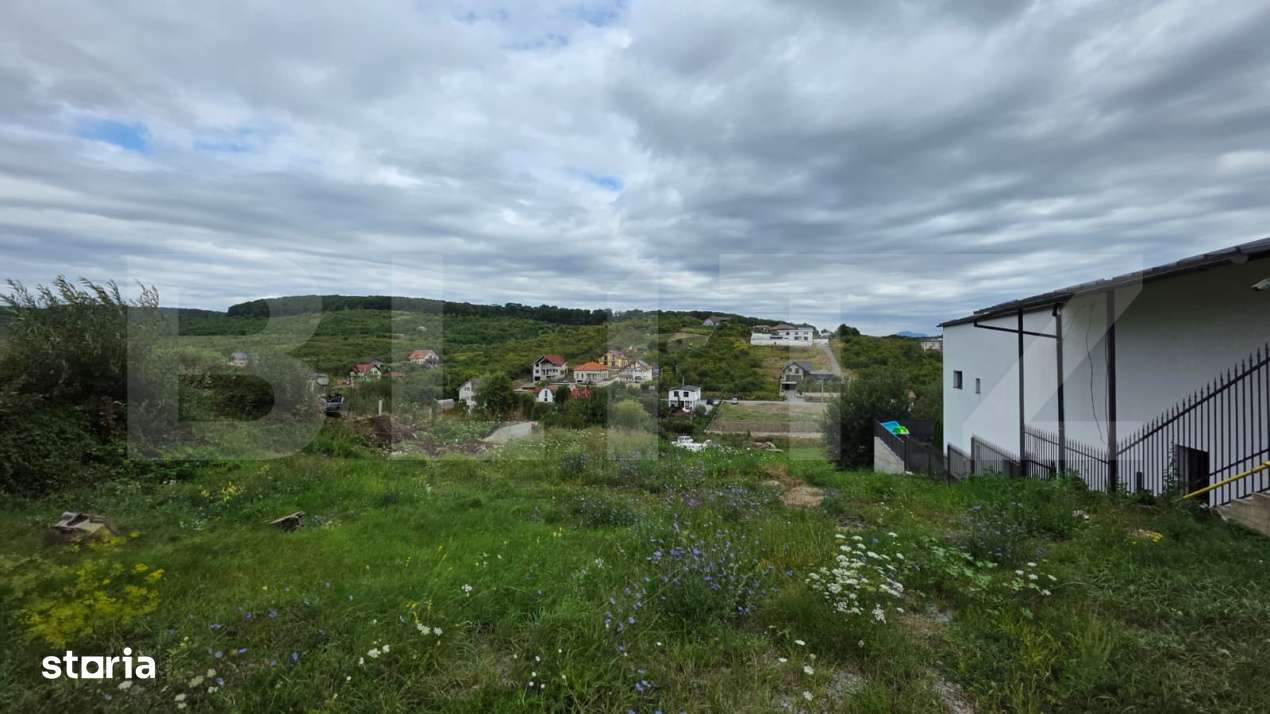 Casa cu 5 camere, 300 mp, teren 27 ari, Valea Rusului - Imagine principală: 4/18