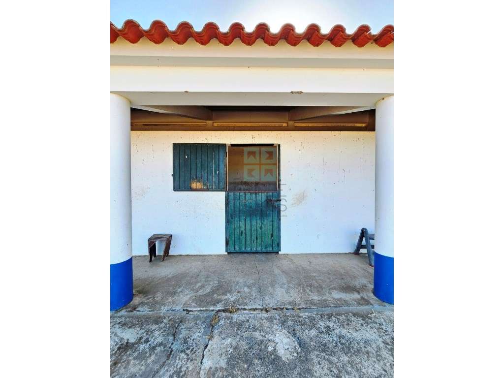 Herdade equestre com moradia T5 e piscina, 93,5ha, em Ourique, Alen...-24