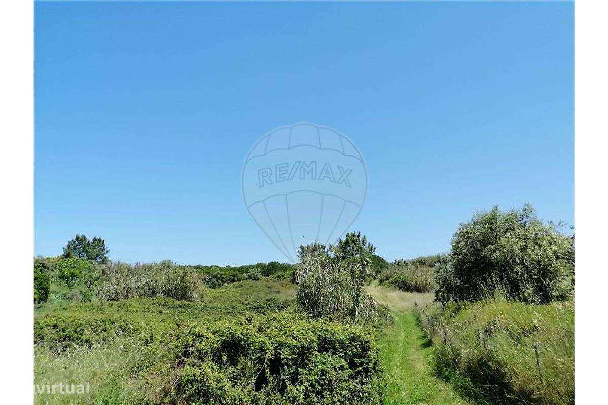 Terreno  para venda-6