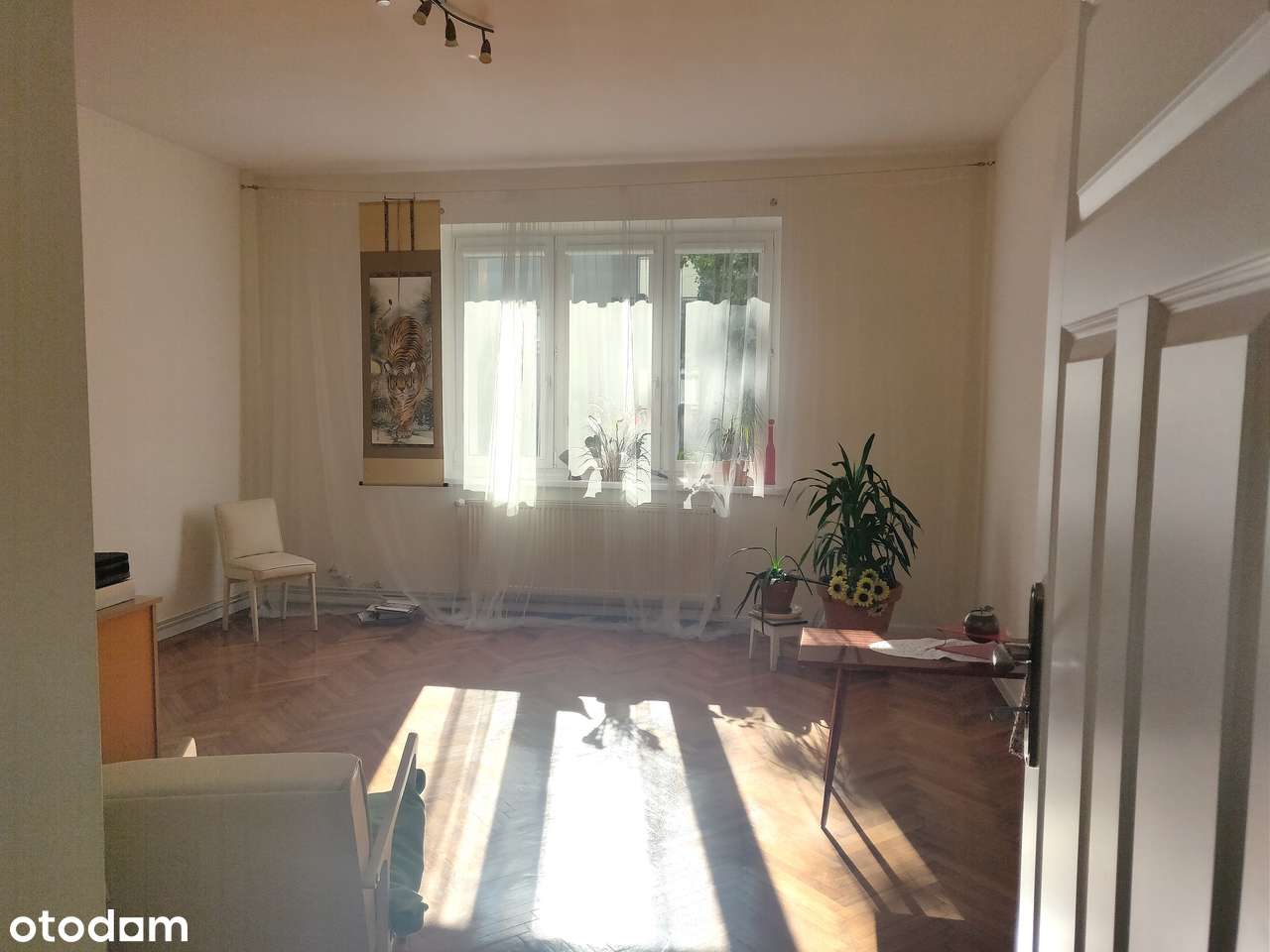 Sprzedaż bez pośrednika - Pełny obrazek: 1/14