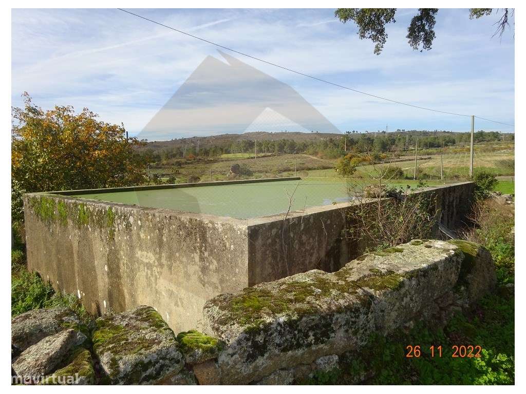 QUINTA AGRICOLA - MÊDA - Grande imagem: 4/46