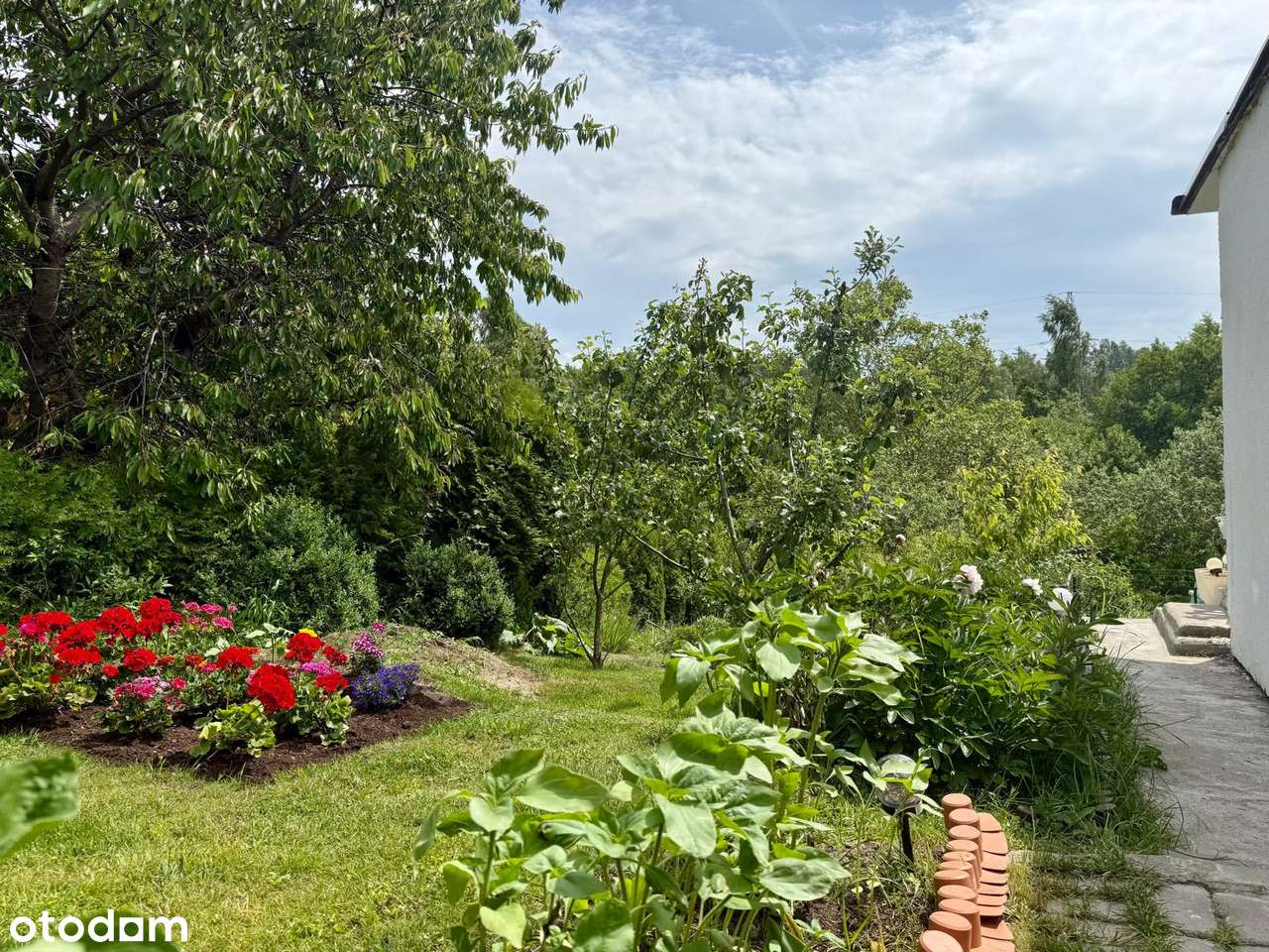 Działka ROD Zielony z domkiem, zadbana-17