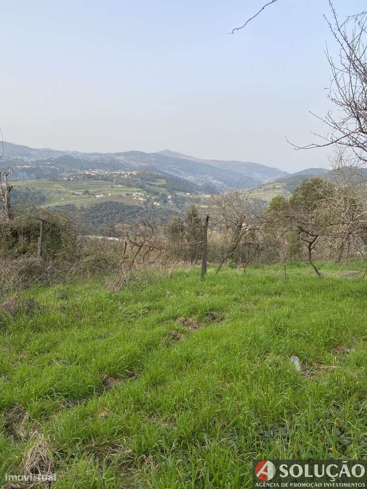 Moradia de quinta-13