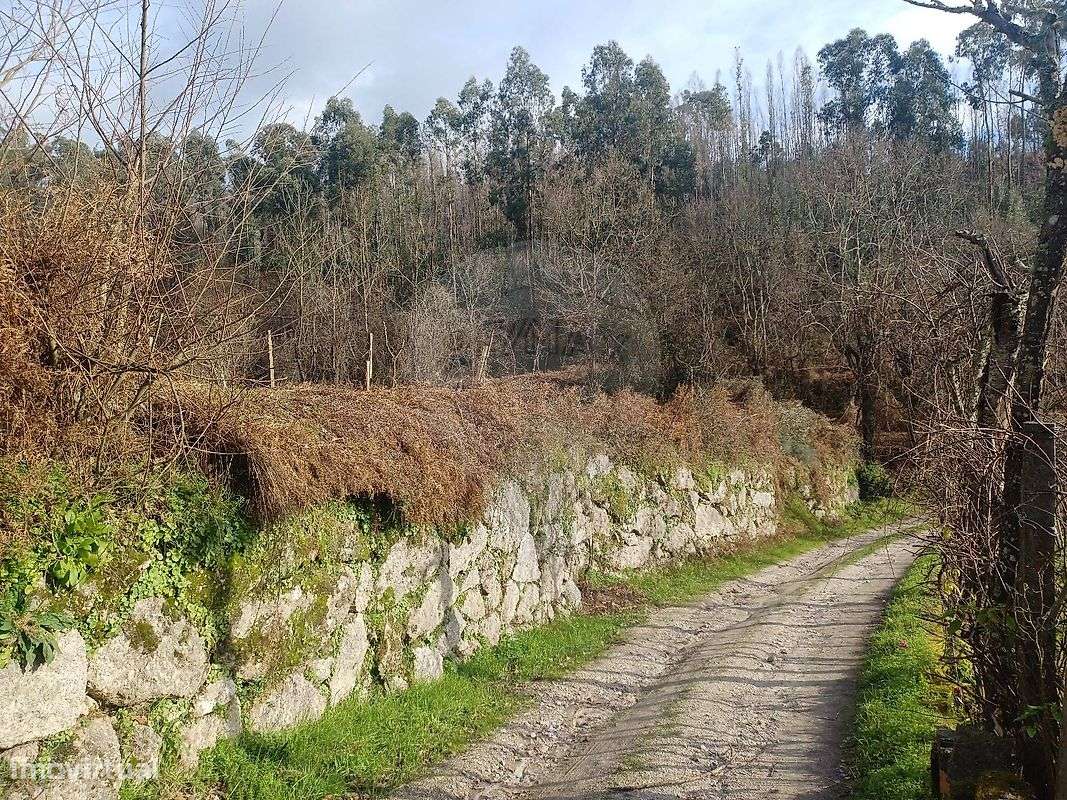 Terreno  para venda - Grande imagem: 4/6