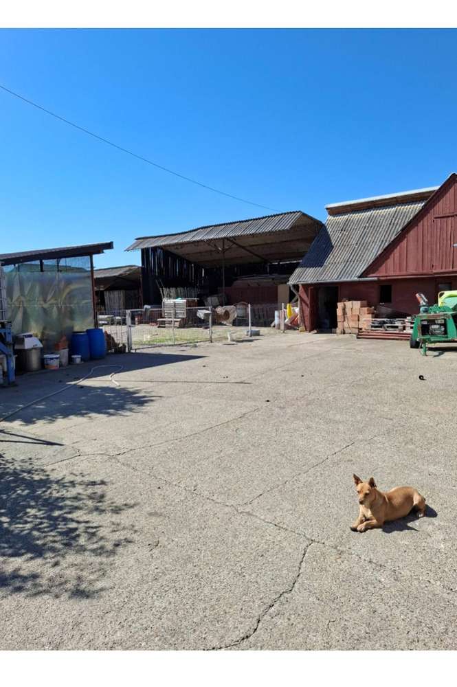 Proprietate mixtă, locuință + spații comerciale,atelier , Sântana - Imagine principală: 5/11