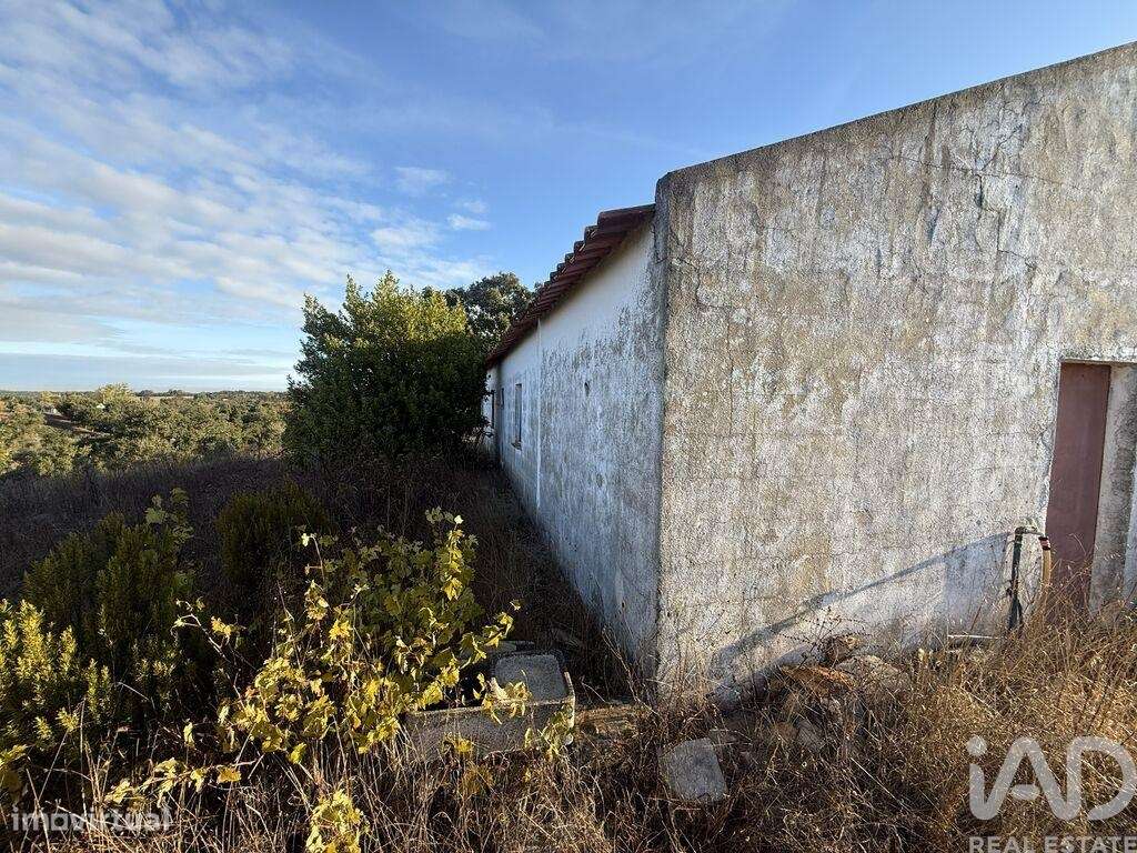 Quinta T3 em Colos - Grande imagem: 3/19