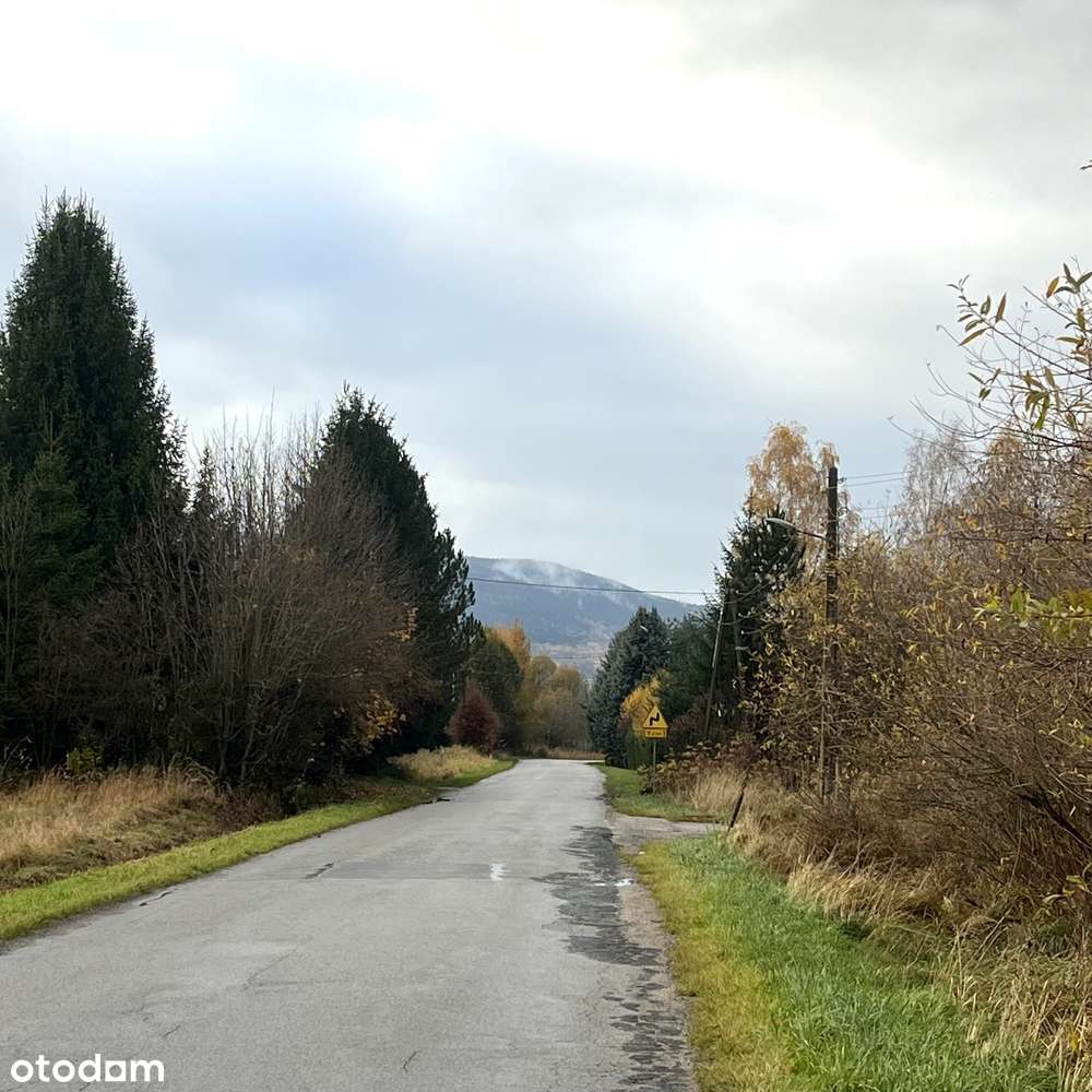 Działka w rejonie górskim blisko Śnieżnika - Pełny obrazek: 4/10