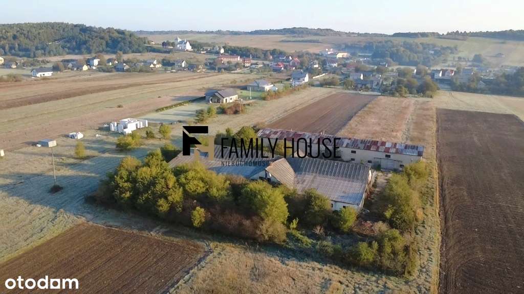 Kielce/Chęciny/Bolmin. Inwestycja 4800 m2/ 2 Hale - Pełny obrazek: 4/14