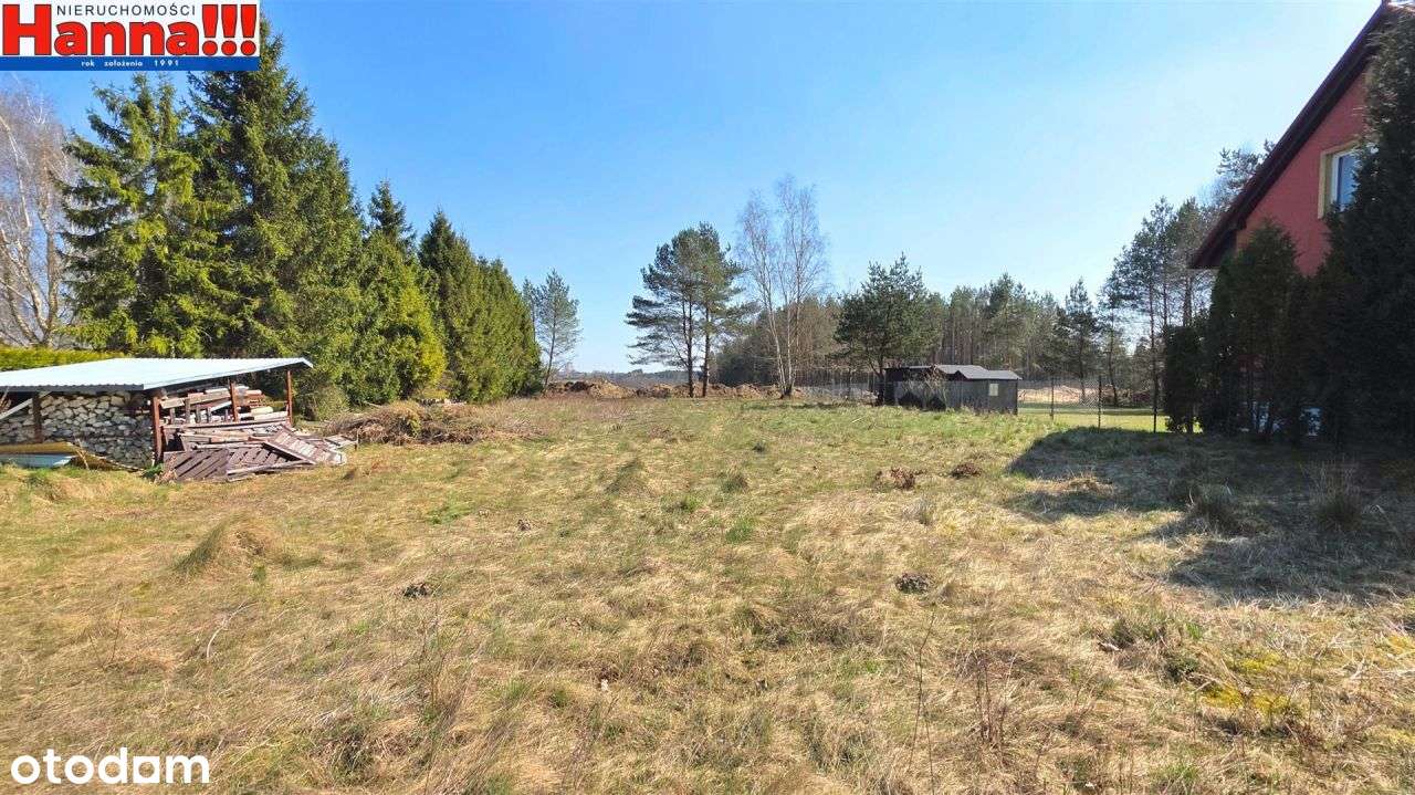 Duża płaska działka budowlana. Rębiechowo/Banino.-4