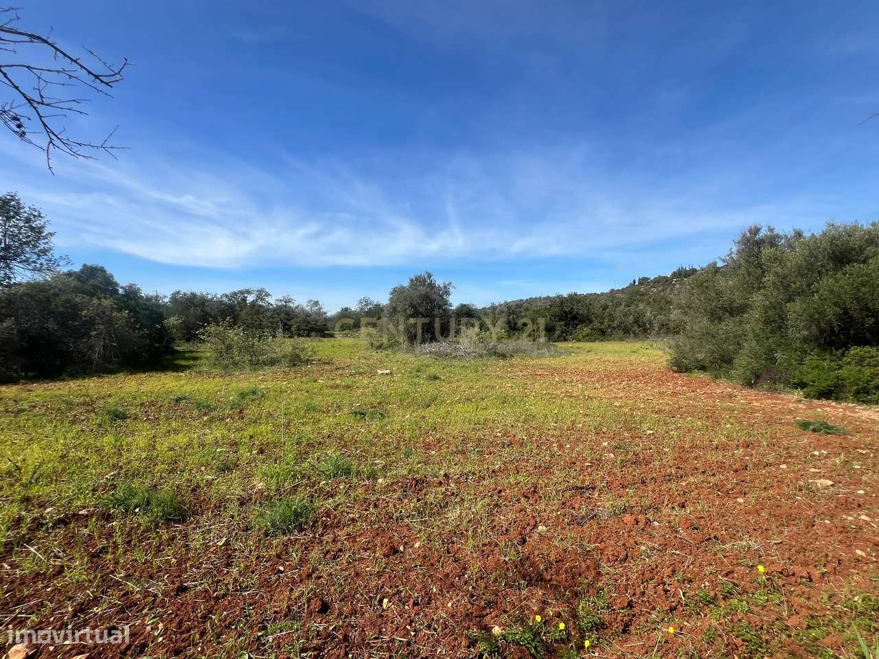 Terreno rústico com 7.360 m2, a 4 km de Paderne - Grande imagem: 4/9